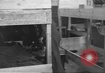 Image of displaced persons Wetzlar Germany, 1945, second 41 stock footage video 65675063176