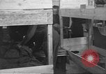 Image of displaced persons Wetzlar Germany, 1945, second 43 stock footage video 65675063176