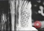 Standbild Deutsche Waffenfabrik Zweiten Weltkrieg Deutschland, 1939, aus Sekunde 34 historischem Filmmaterial Videoclip 65675063179