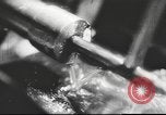 Standbild Deutsche Munitionsfabrik Deutschland, 1939, aus Sekunde 10 historischem Filmmaterial Videoclip 65675063180