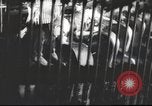 Standbild Deutsche Munitionsfabrik Deutschland, 1939, aus Sekunde 29 historischem Filmmaterial Videoclip 65675063180
