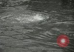Standbild Hochwasserschäden Wheeling West Virginia USA, 1937, aus Sekunde 43 historischem Filmmaterial Videoclip 65675063193