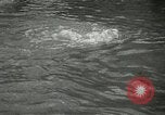 Standbild Hochwasserschäden Wheeling West Virginia USA, 1937, aus Sekunde 44 historischem Filmmaterial Videoclip 65675063193