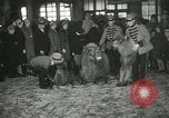 Immagine di Bambini cammelli Chicago Illinois USA, 1933, secondo 38 filmato di repertorio 65675063205