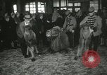 Immagine di Bambini cammelli Chicago Illinois USA, 1933, secondo 42 filmato di repertorio 65675063205