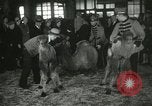 Immagine di Bambini cammelli Chicago Illinois USA, 1933, secondo 45 filmato di repertorio 65675063205