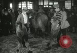 Immagine di Bambini cammelli Chicago Illinois USA, 1933, secondo 48 filmato di repertorio 65675063205