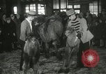 Immagine di Bambini cammelli Chicago Illinois USA, 1933, secondo 49 filmato di repertorio 65675063205