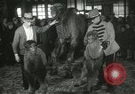 Immagine di Bambini cammelli Chicago Illinois USA, 1933, secondo 50 filmato di repertorio 65675063205