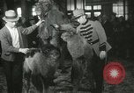 Immagine di Bambini cammelli Chicago Illinois USA, 1933, secondo 52 filmato di repertorio 65675063205