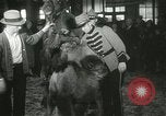 Immagine di Bambini cammelli Chicago Illinois USA, 1933, secondo 53 filmato di repertorio 65675063205
