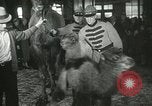 Immagine di Bambini cammelli Chicago Illinois USA, 1933, secondo 54 filmato di repertorio 65675063205