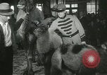 Immagine di Bambini cammelli Chicago Illinois USA, 1933, secondo 55 filmato di repertorio 65675063205