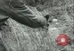 Image of Berlin civilians along Berlin Wall Berlin Germany, 1962, second 9 stock footage video 65675063212