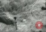 Image of Berlin civilians along Berlin Wall Berlin Germany, 1962, second 10 stock footage video 65675063212