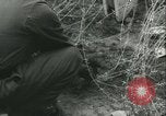 Image of Berlin civilians along Berlin Wall Berlin Germany, 1962, second 16 stock footage video 65675063212