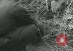 Image of Berlin civilians along Berlin Wall Berlin Germany, 1962, second 17 stock footage video 65675063212