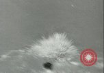 Image of American people during 1937 heat wave United States USA, 1937, second 7 stock footage video 65675063222