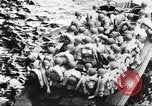 Immagine di Soldati americani Il Nord Africa, 1943, secondo 46 filmato di repertorio 65675063230