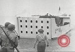 Immagine di Soldati americani Il Nord Africa, 1943, secondo 61 filmato di repertorio 65675063230