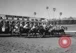 Image of horse racing United States USA, 1964, second 48 stock footage video 65675063245