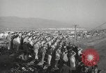 Standbild Drag Racing Championship Fremont California USA, 1965, aus Sekunde 48 historischem Filmmaterial Videoclip 65675063250