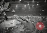 Standbild nationalen Sportler zeigen Toronto Ontario Kanada, 1965, aus Sekunde 51 historischem Filmmaterial Videoclip 65675063256