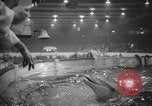 Standbild nationalen Sportler zeigen Toronto Ontario Kanada, 1965, aus Sekunde 53 historischem Filmmaterial Videoclip 65675063256