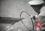 Standbild nationalen Sportler zeigen Toronto Ontario Kanada, 1965, aus Sekunde 55 historischem Filmmaterial Videoclip 65675063256