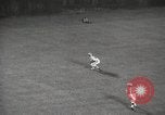 Standbild Fußballspiel Chicago Illinois USA, 1965, aus Sekunde 20 historischem Filmmaterial Videoclip 65675063259