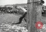 Image of tree-chopping and sawing contest Bavaria Germany, 1967, second 12 stock footage video 65675063266