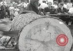 Image of tree-chopping and sawing contest Bavaria Germany, 1967, second 19 stock footage video 65675063266