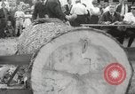 Image of tree-chopping and sawing contest Bavaria Germany, 1967, second 22 stock footage video 65675063266