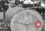 Image of tree-chopping and sawing contest Bavaria Germany, 1967, second 23 stock footage video 65675063266