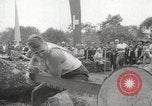 Image of tree-chopping and sawing contest Bavaria Germany, 1967, second 24 stock footage video 65675063266