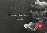 Image of Dutch people Netherlands, 1940, second 9 stock footage video 65675063268