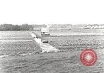 Image of farmlands Netherlands, 1940, second 12 stock footage video 65675063269