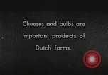 Image of farmlands Netherlands, 1940, second 1 stock footage video 65675063270