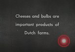 Image of farmlands Netherlands, 1940, second 4 stock footage video 65675063270