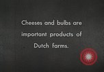 Image of farmlands Netherlands, 1940, second 5 stock footage video 65675063270