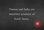 Image of farmlands Netherlands, 1940, second 6 stock footage video 65675063270