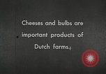 Image of farmlands Netherlands, 1940, second 7 stock footage video 65675063270