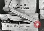 Image of farmlands Netherlands, 1940, second 9 stock footage video 65675063270