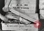 Image of farmlands Netherlands, 1940, second 10 stock footage video 65675063270