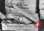 Image of farmlands Netherlands, 1940, second 11 stock footage video 65675063270