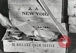 Image of farmlands Netherlands, 1940, second 12 stock footage video 65675063270