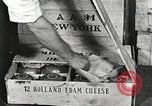Image of farmlands Netherlands, 1940, second 13 stock footage video 65675063270