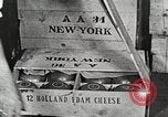 Image of farmlands Netherlands, 1940, second 14 stock footage video 65675063270