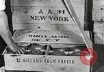 Image of farmlands Netherlands, 1940, second 15 stock footage video 65675063270