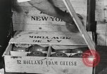 Image of farmlands Netherlands, 1940, second 16 stock footage video 65675063270